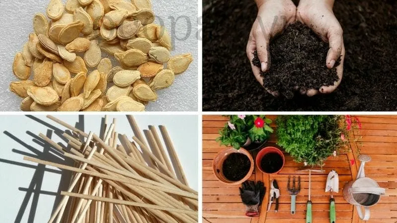 Chuẩn bị trước khi trồng