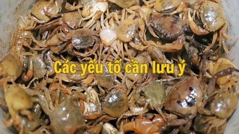 Các yếu tố cần lưu ý
