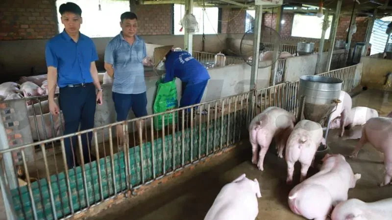 Kiểm tra sức khỏe định kỳ