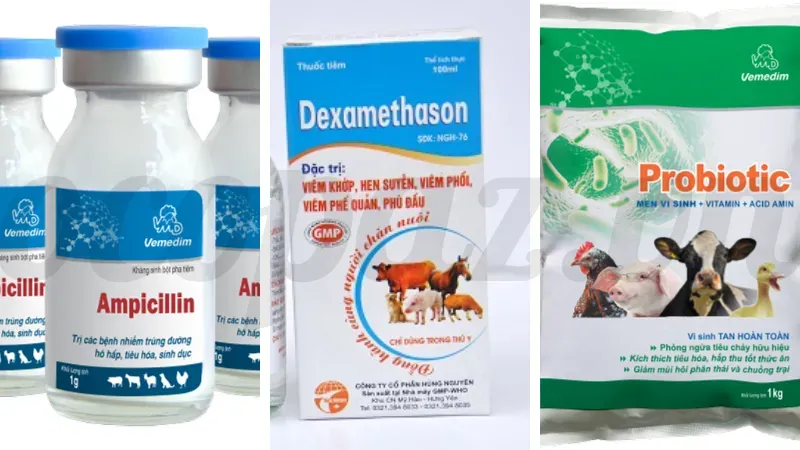 Cách điều trị bệnh nổi cục trên da ở heo