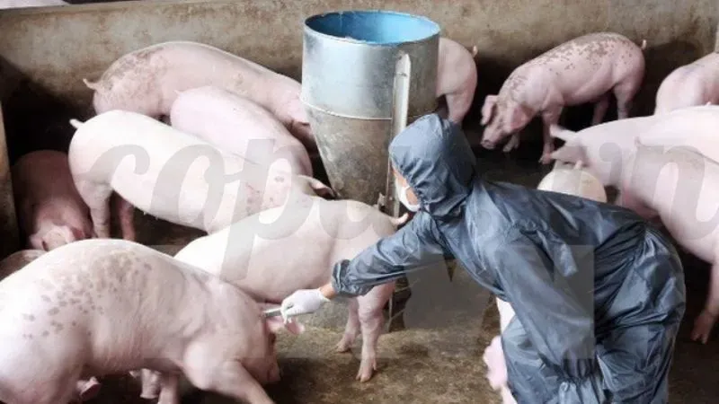 Phương pháp điều trị hiện nay