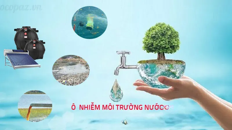 Tôm bị đen mang là bệnh gì? Giải pháp xử lý tôm hiệu quả 5