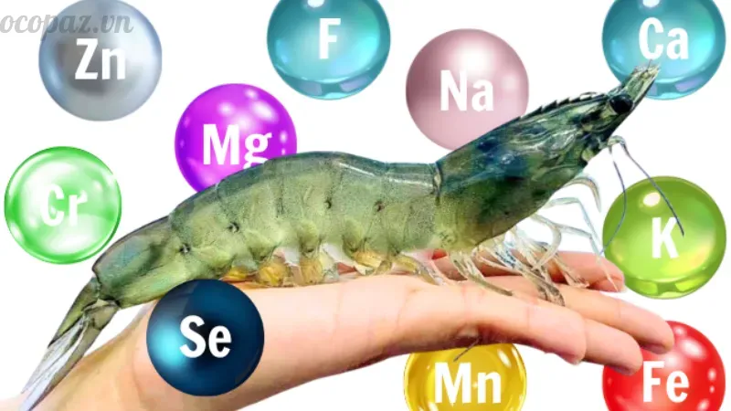 Tôm bị đốm đen do đâu? Cách xử lý triệt để bệnh này 8