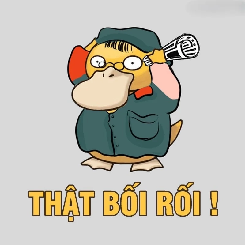 Hình mèo meme hài luôn làm bạn mỉm cười với những hành động và biểu cảm đáng yêu của mèo.