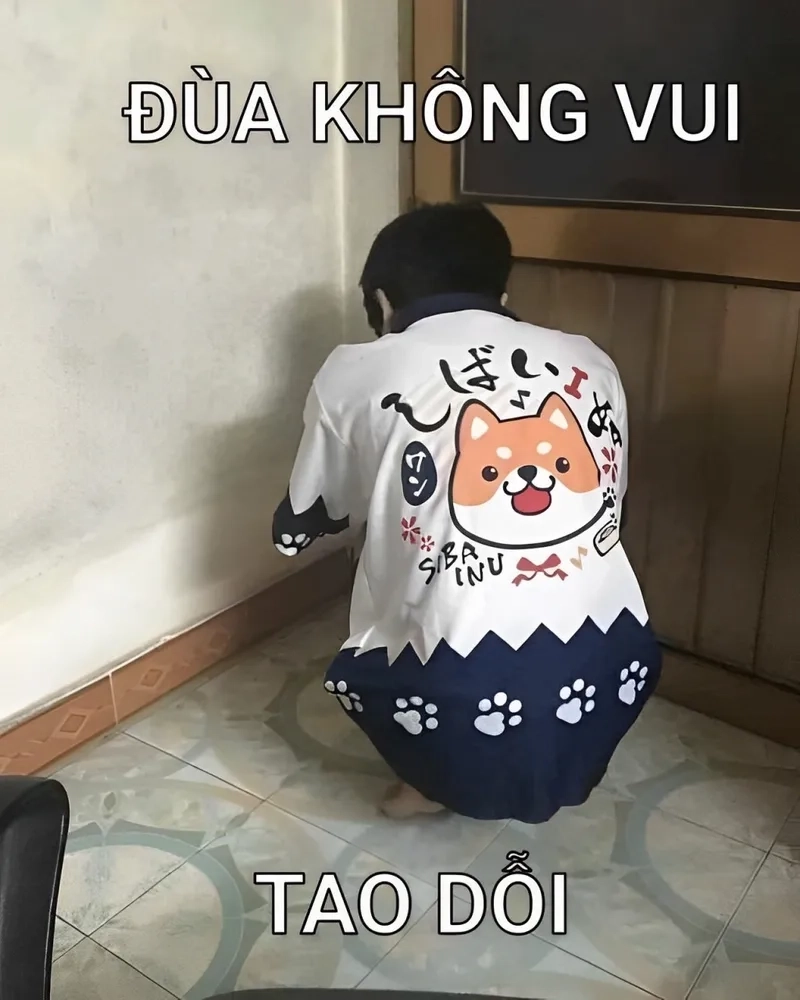 Meme mèo cute vừa đáng yêu vừa hài hước, thu hút mọi ánh nhìn.