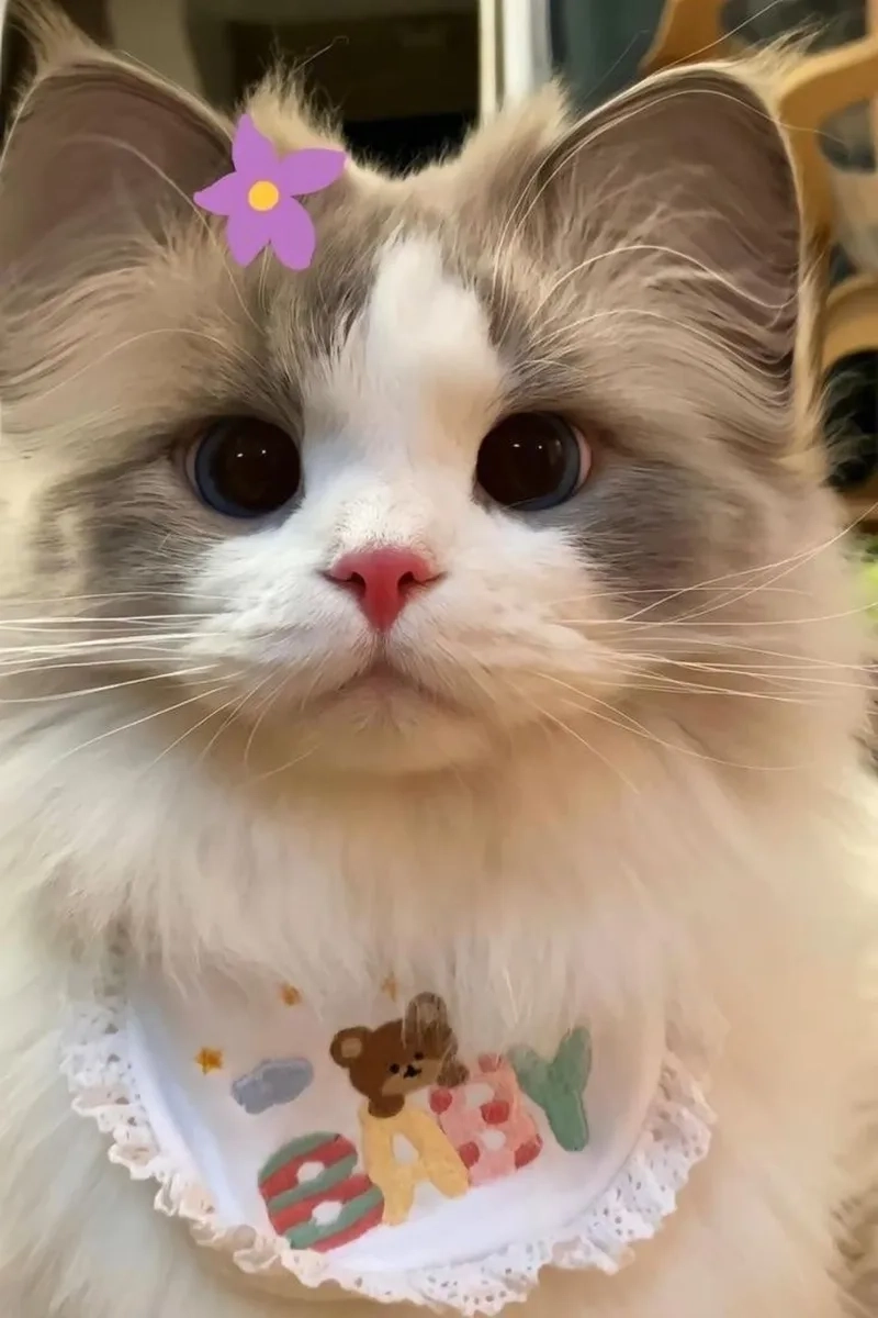 Hình ảnh meme avatar vô tri gây ấn tượng mạnh với nét biểu cảm vô cảm nhưng đầy ý nghĩa.