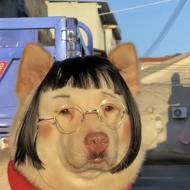 Meme avatar vô tri mèo mang tính giải trí cao, tạo niềm vui nhẹ nhàng cho mọi người.