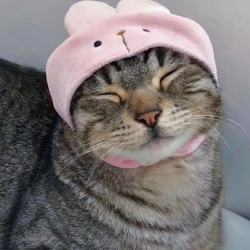 Hình ảnh mèo với kính thể hiện sự ngầu và đáng yêu của mèo qua hình ảnh sinh động.