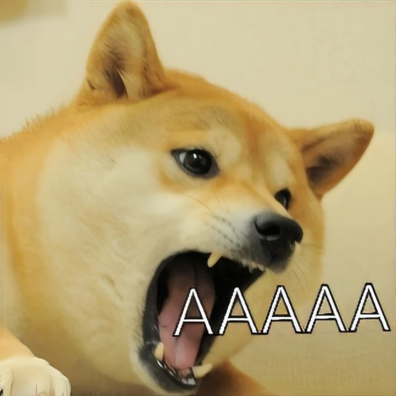 Angry dog meme hài hước với biểu cảm giận dữ đầy ngộ nghĩnh.