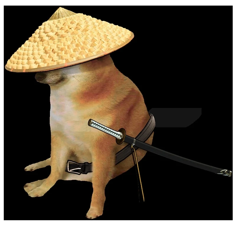 Smiling dog meme ngộ nghĩnh và đáng yêu, tạo điểm nhấn cho nội dung.