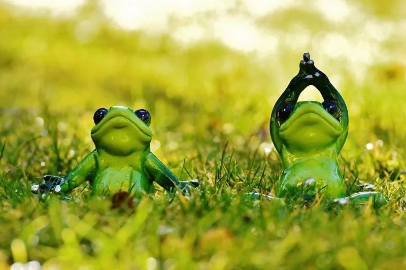 Avatar đôi con ếch tạo hình ảnh dễ thương, thể hiện tình bạn và sự kết nối.