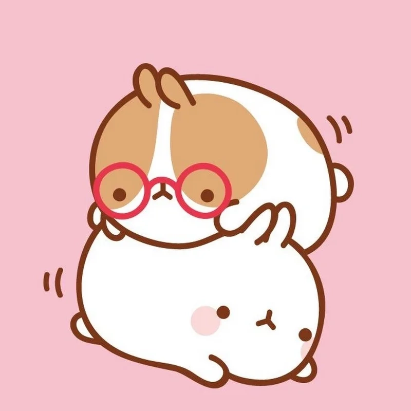 Cute ảnh meme hài kết hợp sự hài hước và dễ thương, mang đến niềm vui cho người xem.