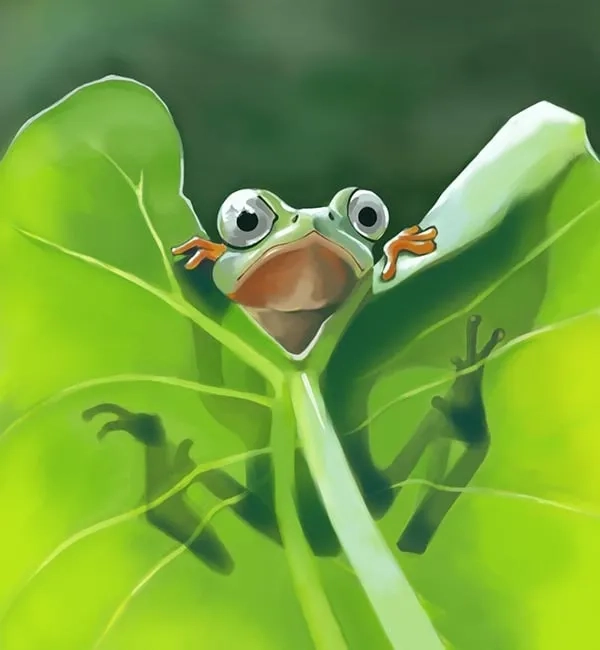 Kìa chú là chú ếch con là câu chuyện dễ thương về một chú ếch ngộ nghĩnh.