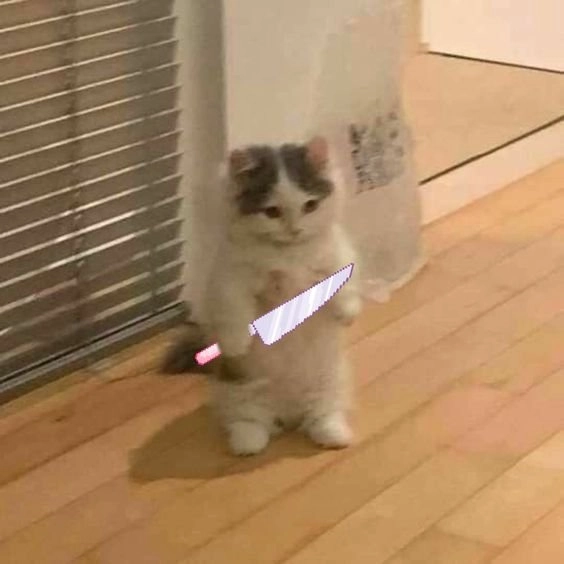 Meme chó shiba cầm súng tạo nên một phong cách cực kỳ thú vị và hài hước.