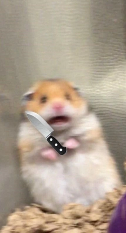 Ảnh meme cầm súng thể hiện sự ngạc nhiên và hài hước, không thể bỏ qua.