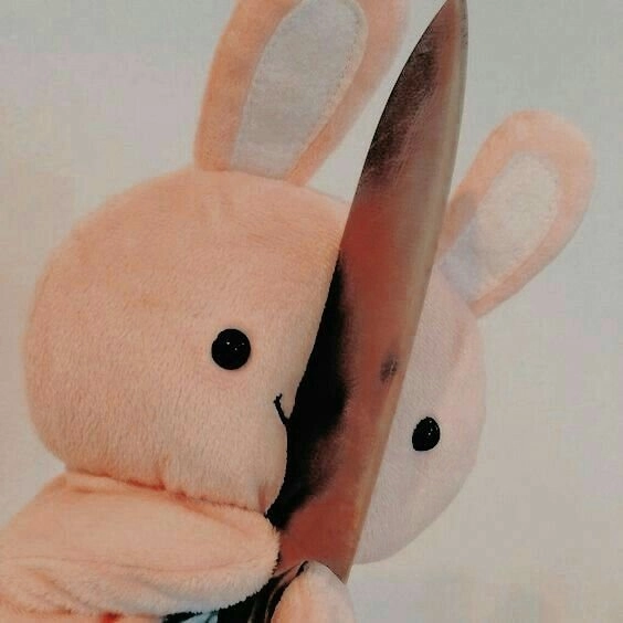 Meme con mèo cầm súng làm bạn phải bất ngờ với vẻ đáng yêu của nó.