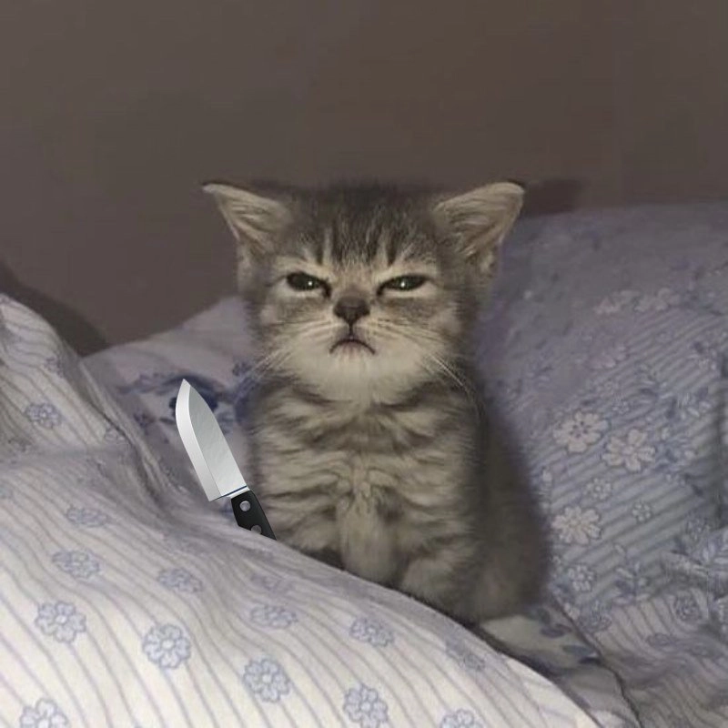 Hình meme cầm súng thể hiện sự hài hước và bất ngờ đầy ấn tượng.