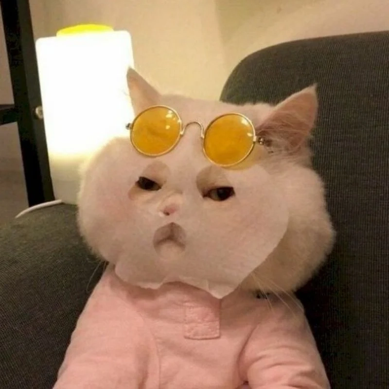 Ảnh hài meme mang đến những phút giây thư giãn và tiếng cười sảng khoái.