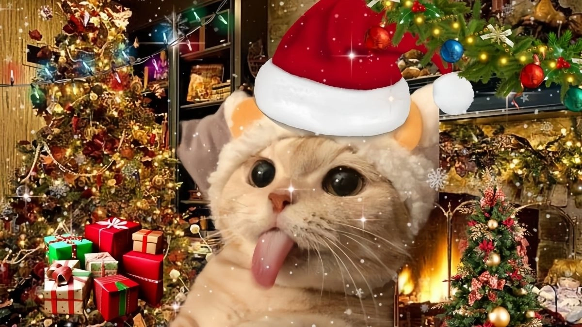 vẢnh mèo giáng sinh meme là lựa chọn hoàn hảo cho mùa Giáng Sinh tươi vui.