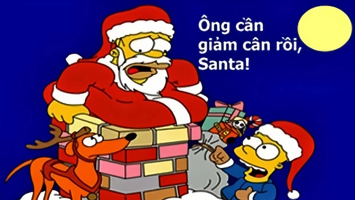 Ảnh con mèo giáng sinh meme làm cho không khí Giáng Sinh thêm sống động.