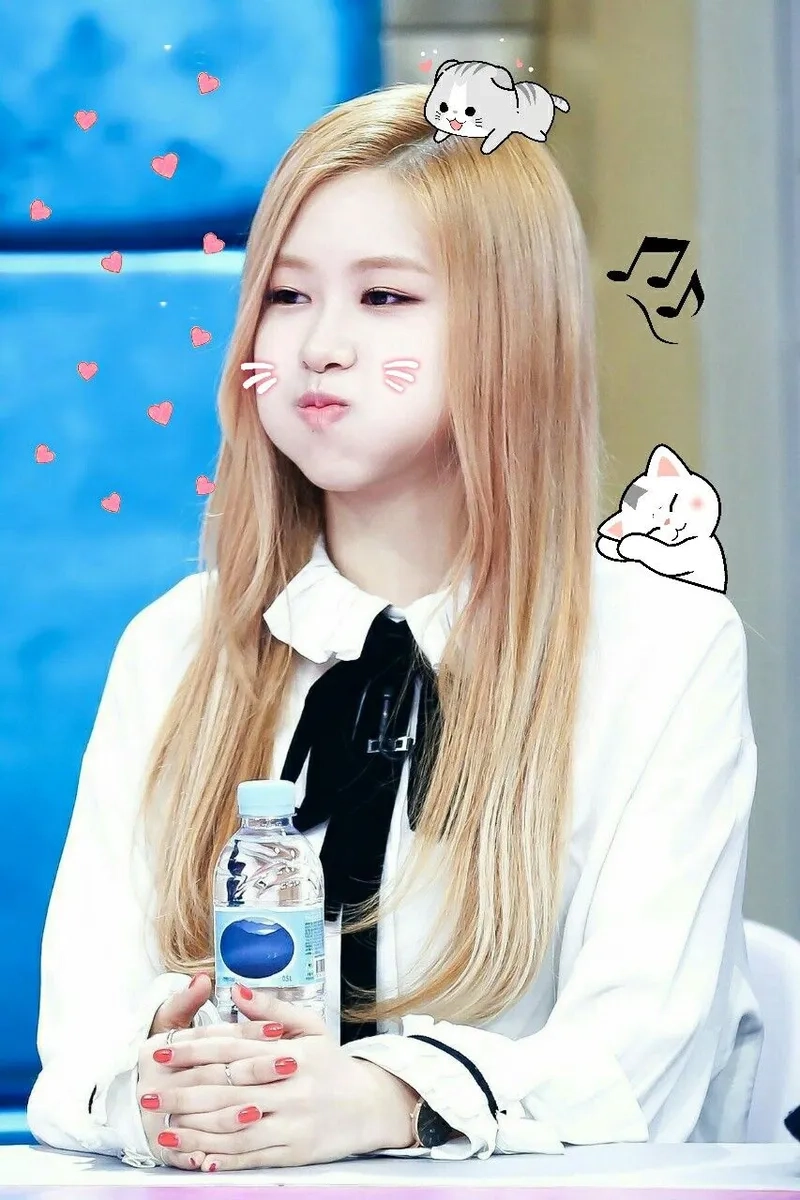 Lisa meme vui nhộn, mang lại sự thích thú cho người hâm mộ.