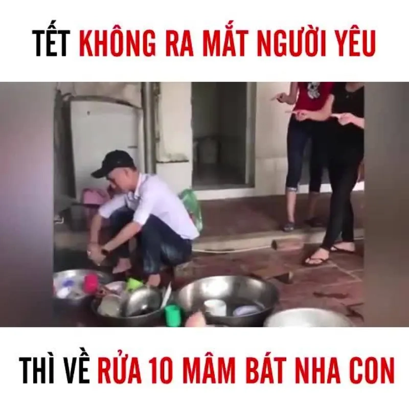 Ảnh tết meme mèo là những bức hình hài hước, dễ thương của mèo đón Tết.