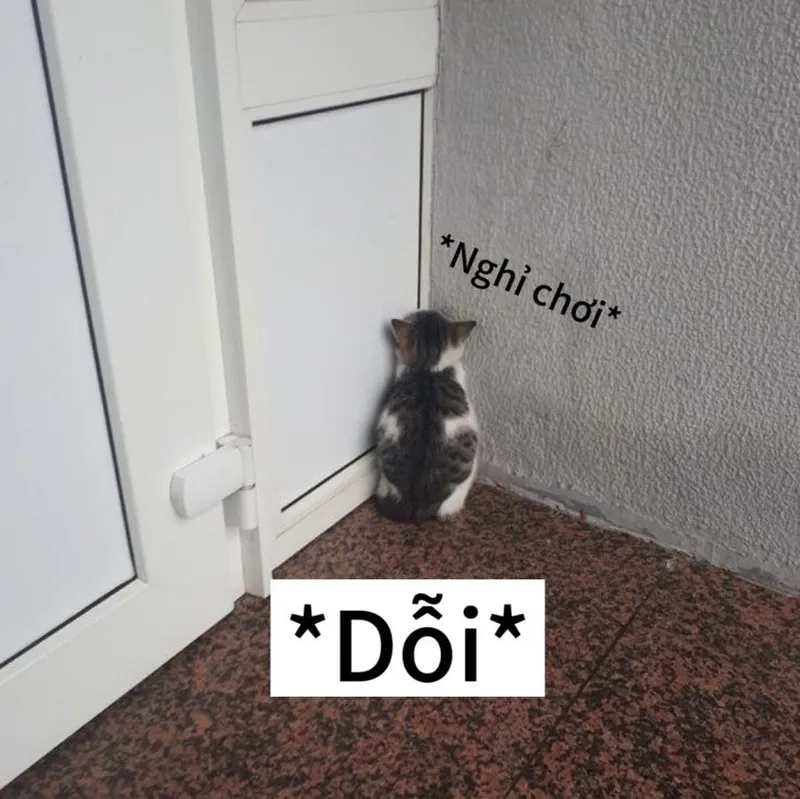 Nụ cười vô tri meme là khoảnh khắc hài hước, phù hợp để lan tỏa năng lượng tích cực.