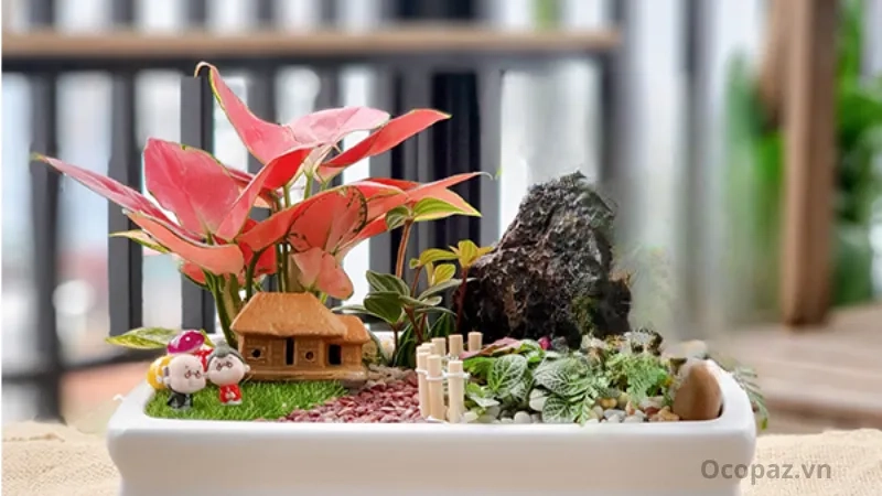 Cây vạn lộc mini nhỏ gọn, dễ trồng, phù hợp trang trí bàn làm việc