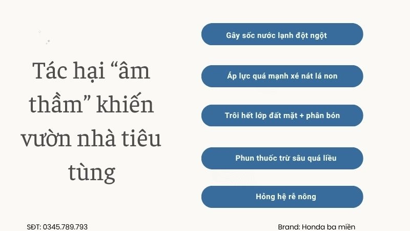 Tác hại “âm thầm” khiến vườn nhà tiêu tùng
