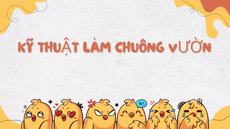 Kỹ thuật làm chuồng vườn giúp gà phát triển nhanh