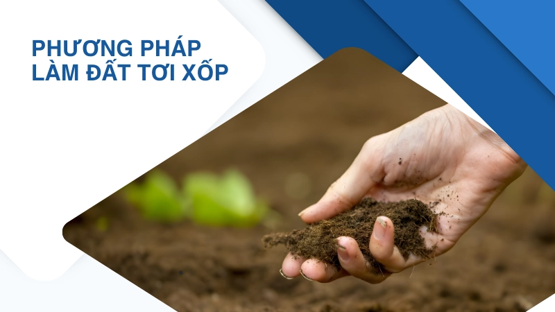 Phương pháp làm đất tơi xốp bền vững cho khu vườn