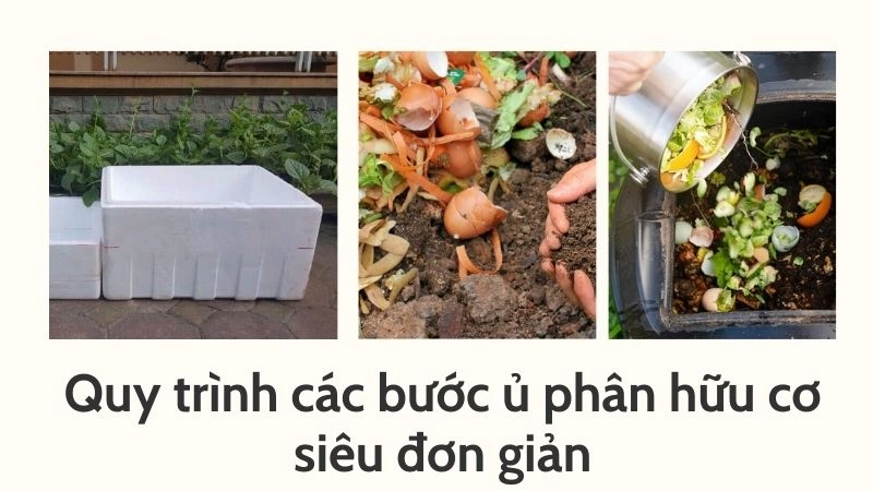 Quy trình các bước ủ phân hữu cơ siêu đơn giản