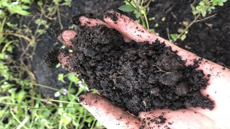 Mẹo nhỏ giúp rút ngắn thời gian phân hủy rác