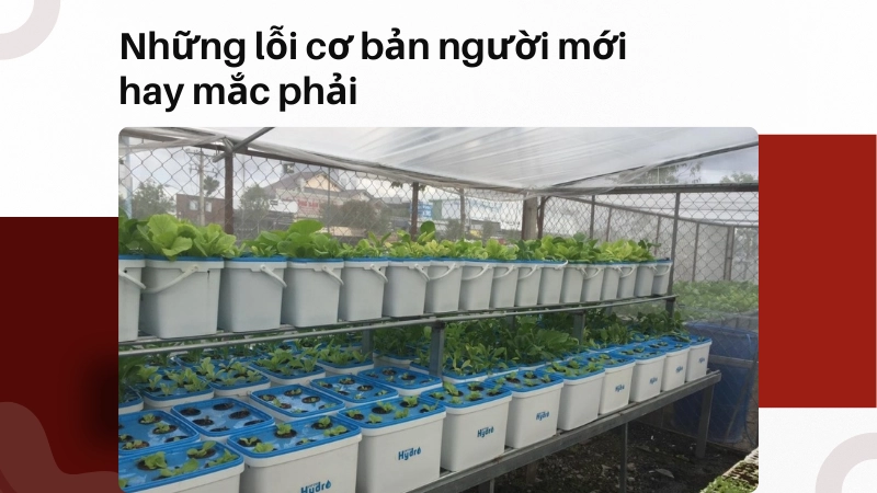 Những lỗi cơ bản người mới hay mắc phải