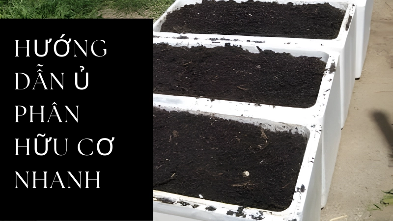 Quy trình ủ phân hữu cơ bằng thùng xốp đơn giản