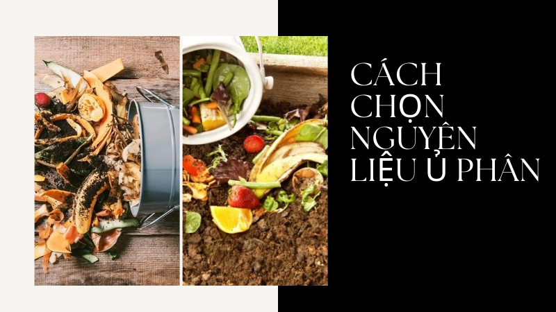  Các loại rác thải nhà bếp dùng làm phân bón