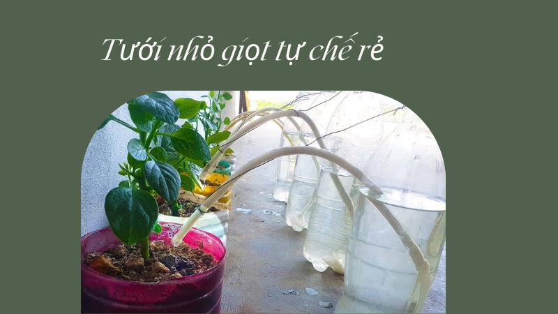 Tự làm hệ thống tưới nhỏ giọt tự chế siêu rẻ